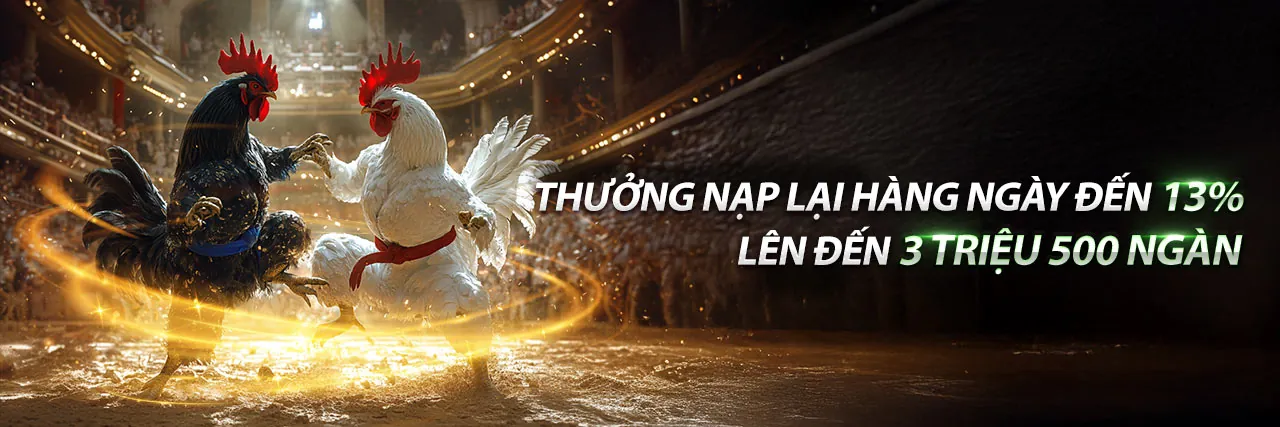 Cá cược thể thao 33vin